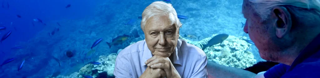 Llega a la plataforma de Disney+ en streaming, la ola de documentales del gran David Attenborough, que realizó un especial de National Geographic que se estrenó el pasado 8 de junio, coincidiendo con el Día Mundial de los Océanos. 