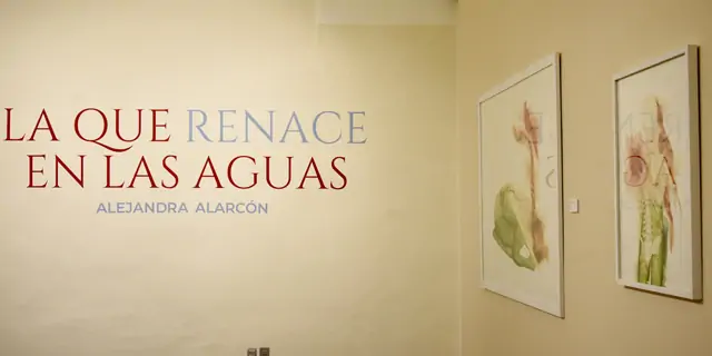 Por primera vez, la Benemérita Universidad Autónoma de Puebla (BUAP) reúne las seis series artísticas creadas por la boliviana Alejandra Alarcón en la muestra “La que renace en las aguas”, que se exhibe en el Edificio Carolino de la Universidad. 