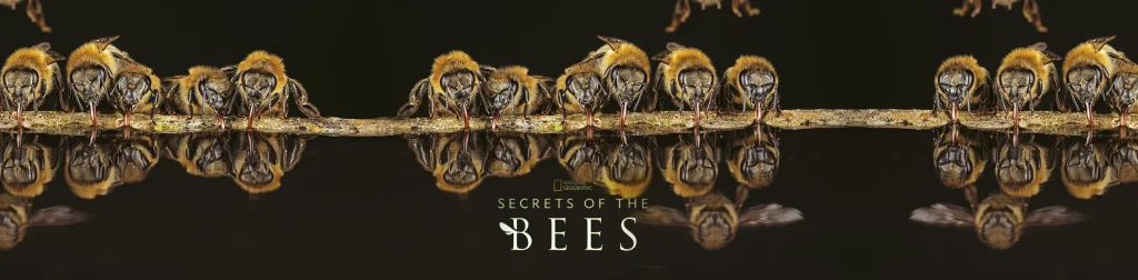 National Geographic y James Cameron presentan 